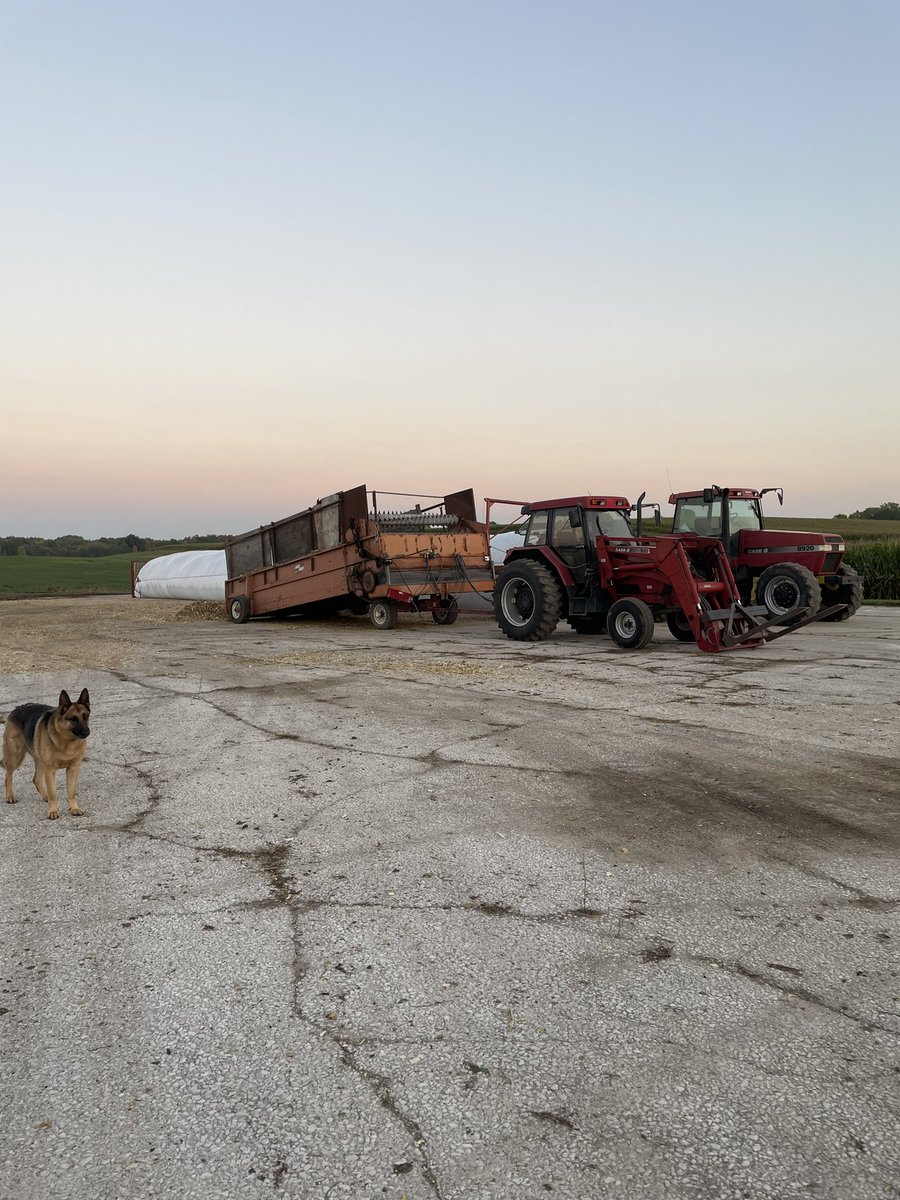 Baggin cow chow like it’s 1998