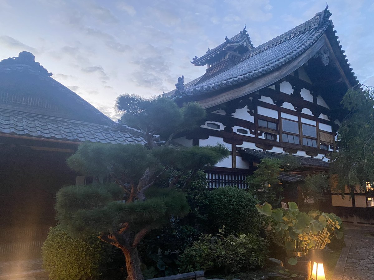 Koichiro Shiba tweet media