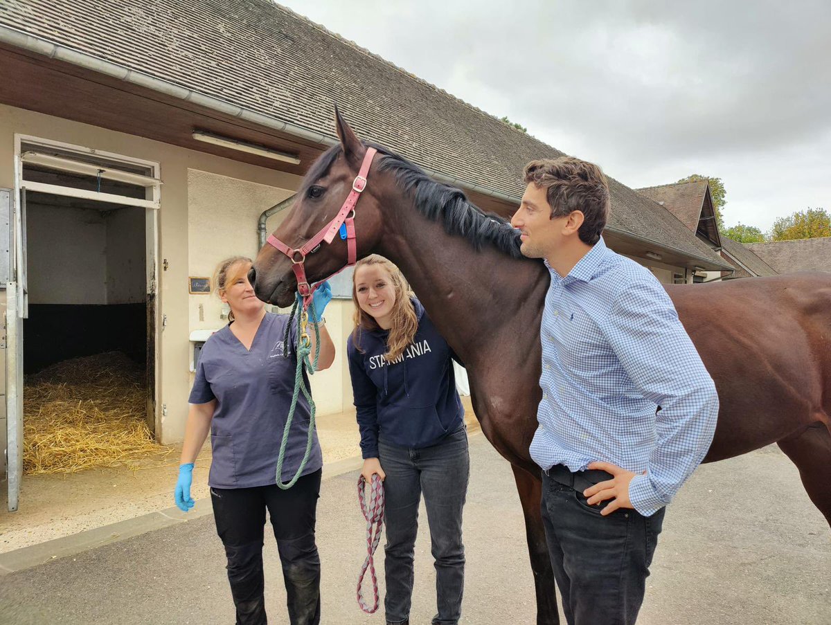 corine barande barbe tweet media