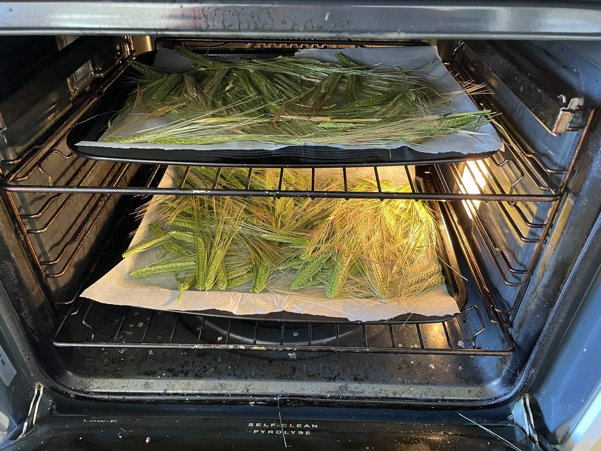 Craig Ayles tweet media