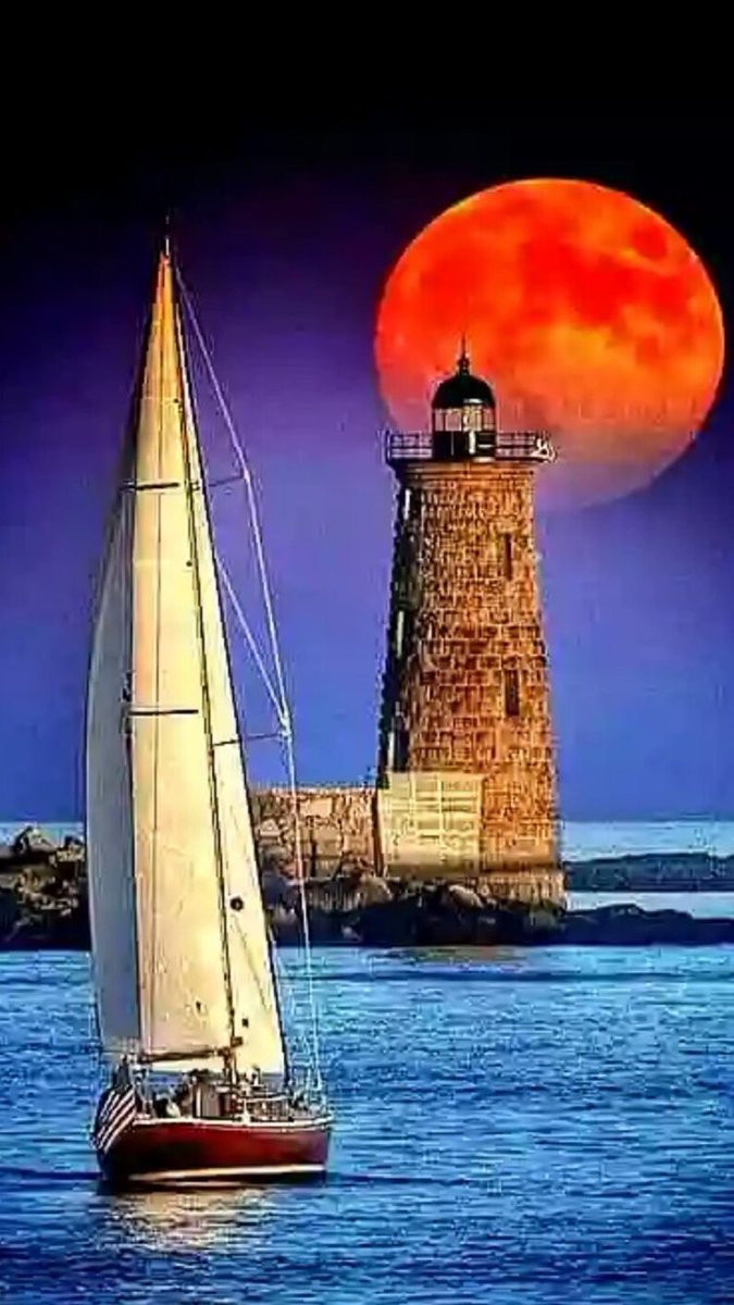 ╲\ ╭┓
╭ ❤︎  ╯Good Night Friends ✨♥️
┗╯\╲