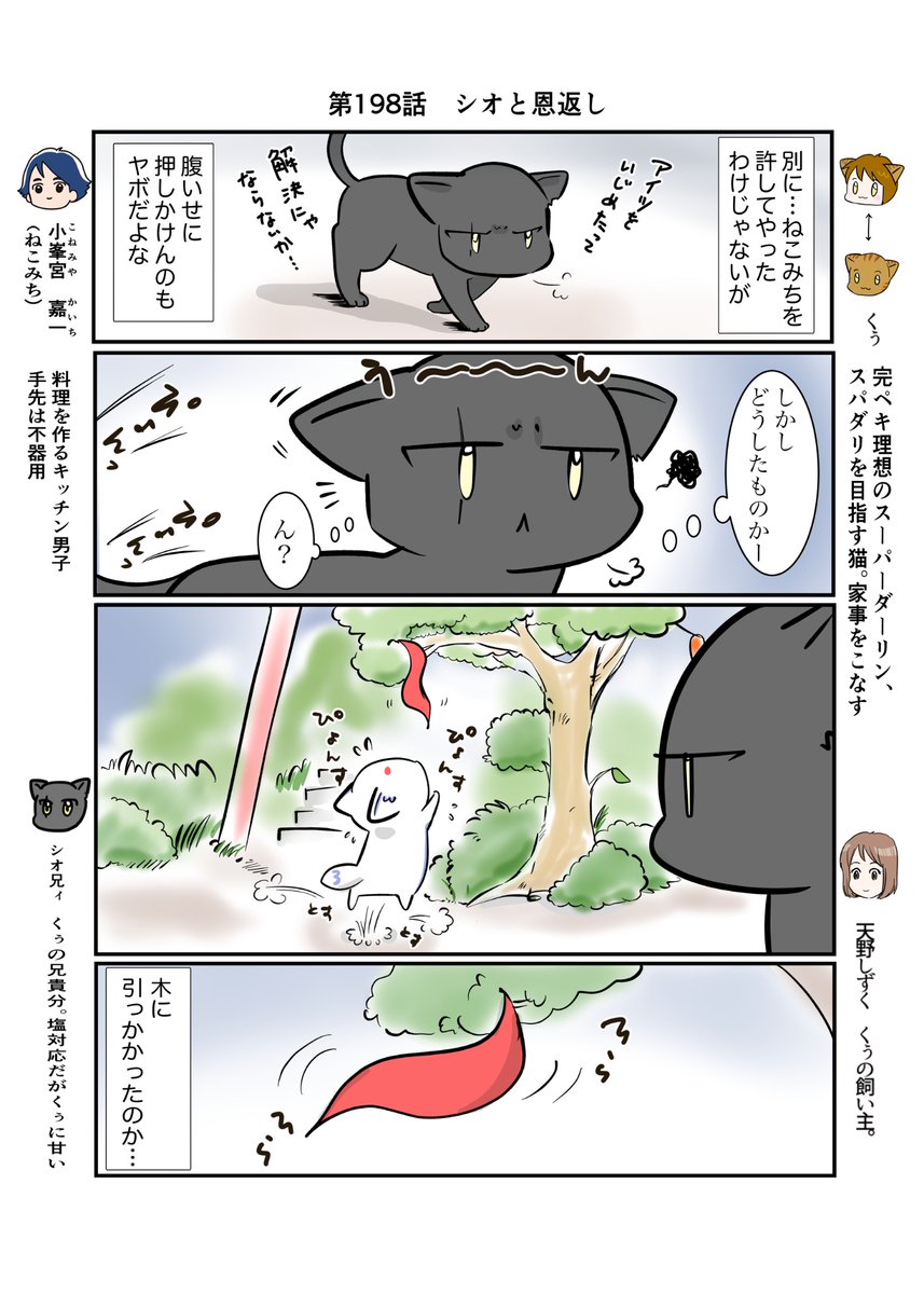 #スパダリにゃんこ
#くぅの日常 第198話
シオと恩返し

ハイスペックなスーパーダーリン、スパダリ猫を目指すくぅと、飼い主しずくの日常マンガ。

店番に励むねこみちを見て、いったん退くシオ兄貴。くぅを気遣い心を悩ませるシオの目に見えたのは…?
#猫マンガ 