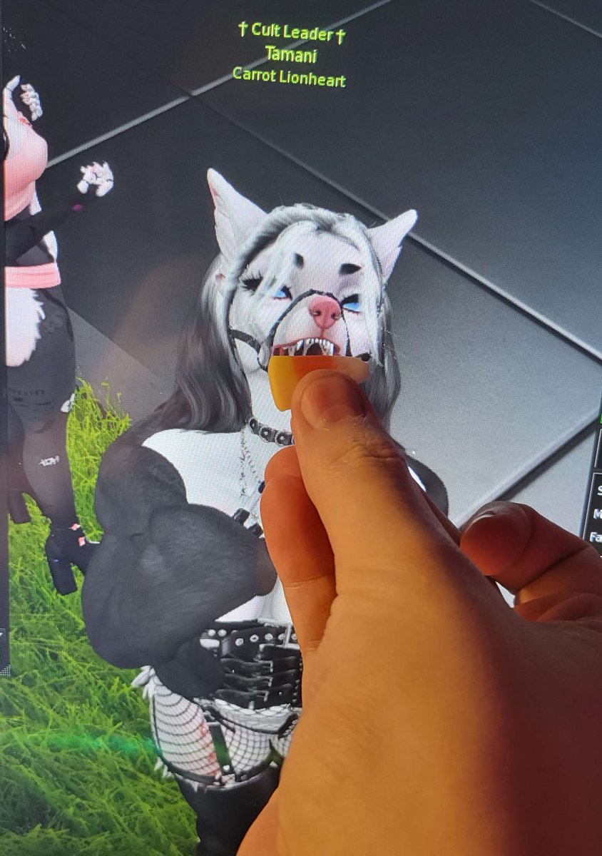 SecondlifeTam's tweet photo. Told this man ive never had candycorn

ЯФPΞЯ (rickguyy): just open your avi's mouth and I'll chuck pieces of candy corn at my screen https://t.co/chauI5HF3A