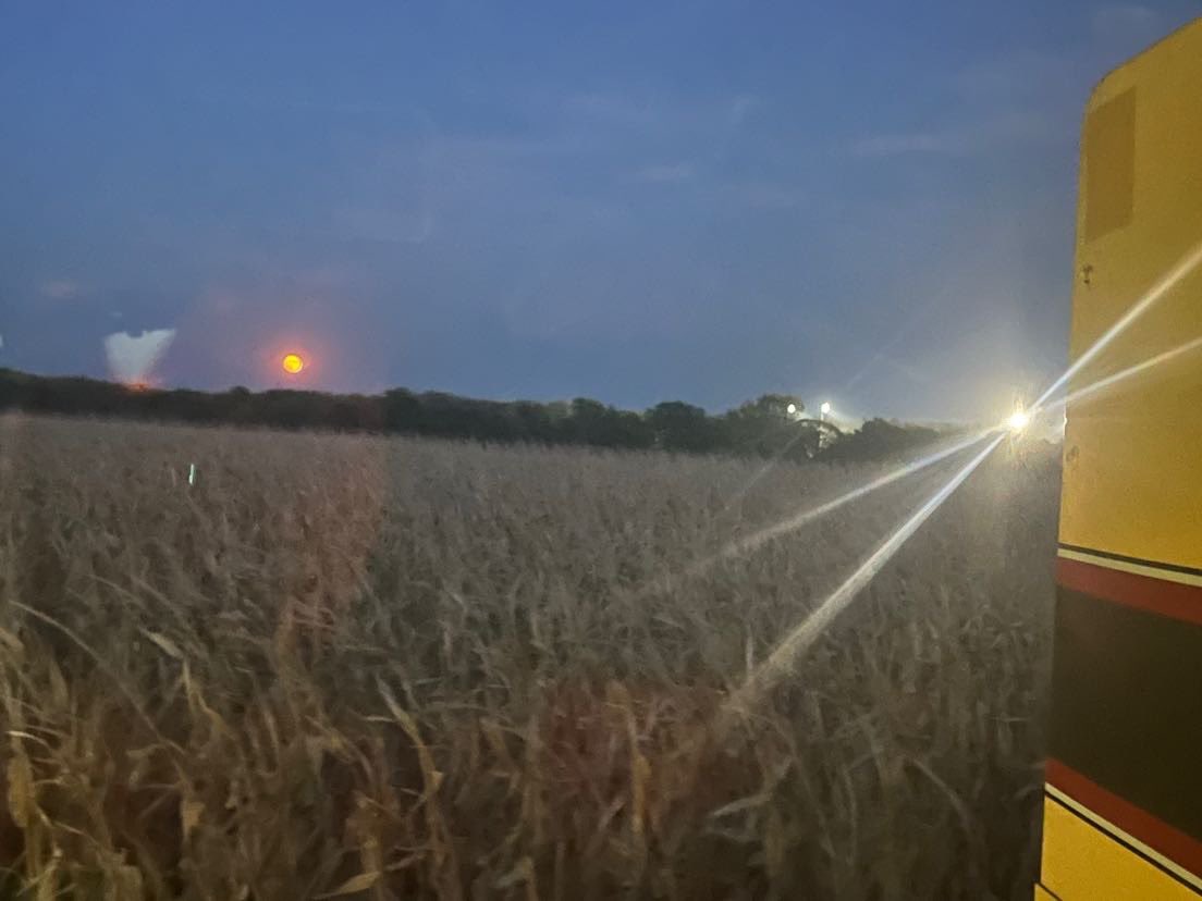 daHAHNi's tweet photo. Hey @kevinsjuts dad found another sunset view for ya. Harvest moon and TC football lights. Trojans taking on the Wolverines across the creek in the battle of HWY 103 https://t.co/7CHS0DTfUa