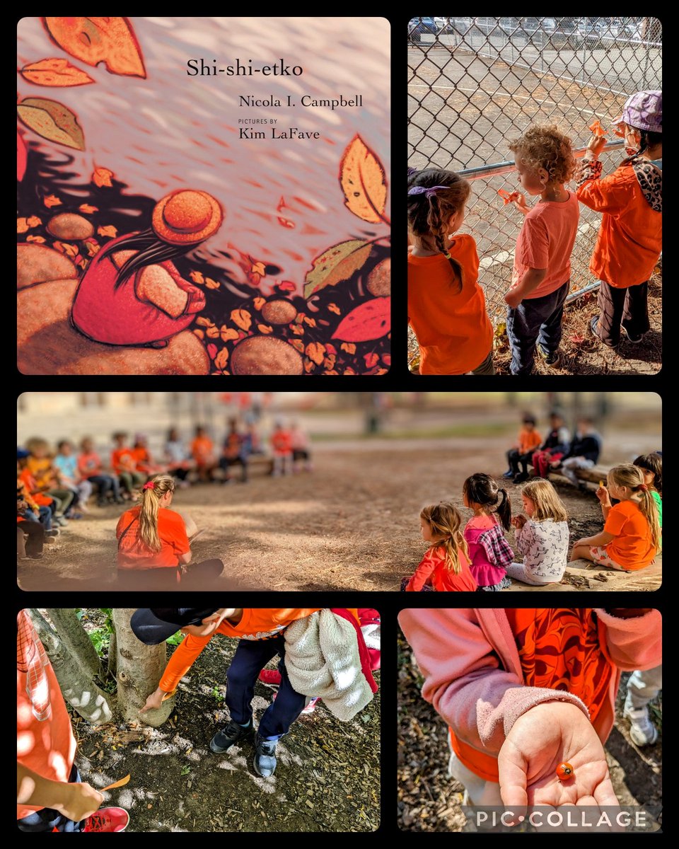 Reading Shi-Shi-Etko by <a href="/NicolaCampbel20/">Nicola I. Campbell</a> this week led us to reflecting on the importance of the land <a href="/TDSBWilkinson/">Wilkinson Junior Public School</a> &amp; connecting with the plants. Today we walked, tied orange ribbons, &amp; thought about Shi-Shi-Etko who couldn't go home after school like we do. <a href="/KimLafave/">Kim LaFave</a>