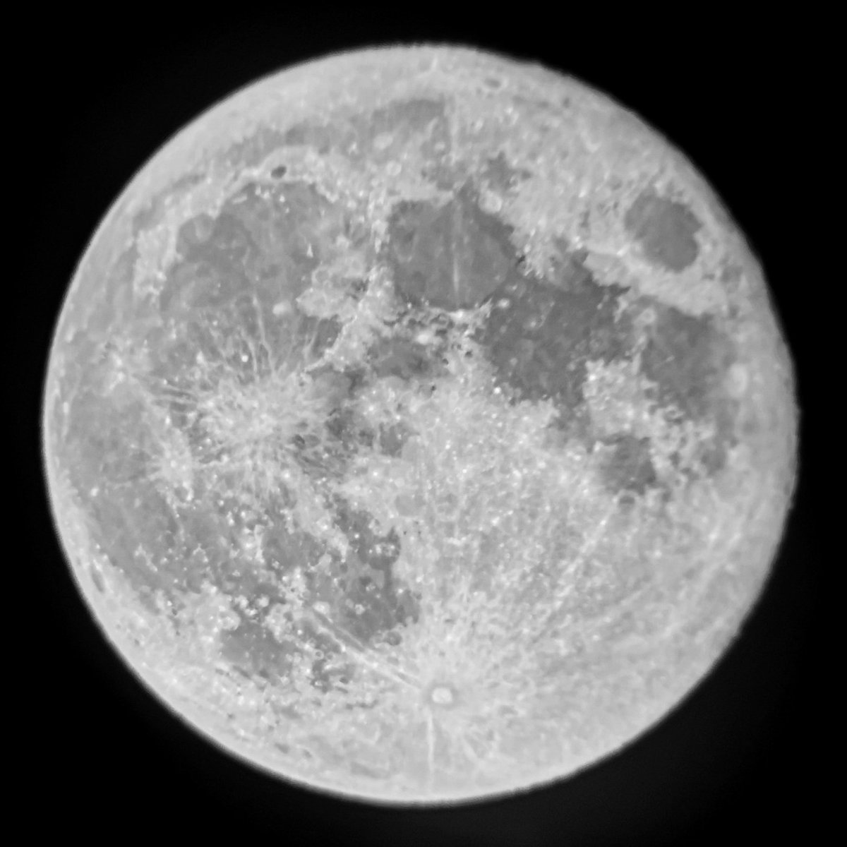 Tonight's beautiful full #HarvestMoon. Telescope and phonecam. #LookUp!