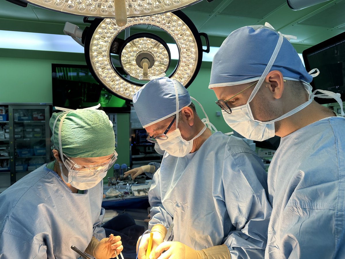 MA__Schneider's tweet photo. Finishing fantastic 4w #ESA supported observership in gastric cancer surgery at @snuh_official under @HanKwangYANG1 with #KINGCA2023 attendance! Thx to SNUH team for this amazing eyperience followed by some family time to explore beautiful 🇰🇷! #SoMe4UGI #gastriccancer https://t.co/rAwRG4J3HA