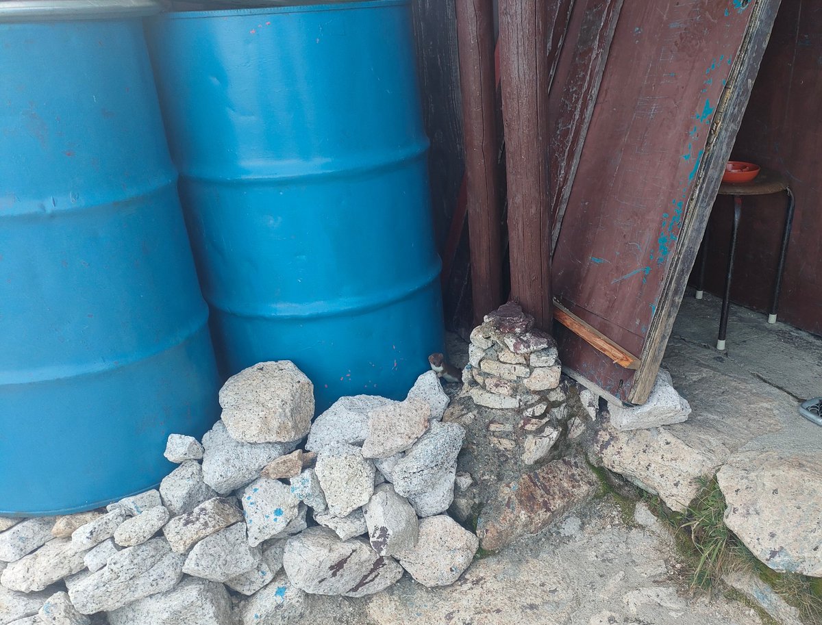 ちゅーた tweet media