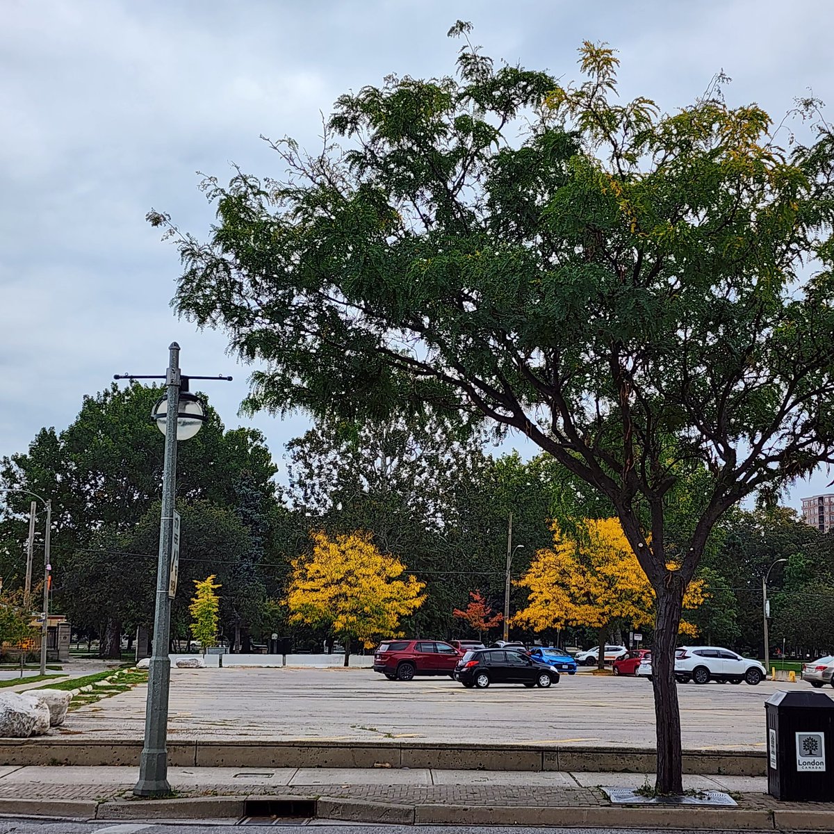 ontario_love's tweet photo. Fall colours are coming in  downtown 

#ldnont #getdtl #downtown #autumn #trees https://t.co/KLeARqPBnj