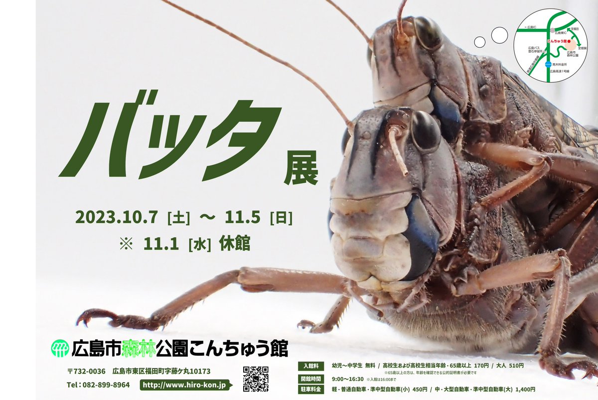 小学生の頃からバッタが好きで、一緒になんとなく色々と調べていたK