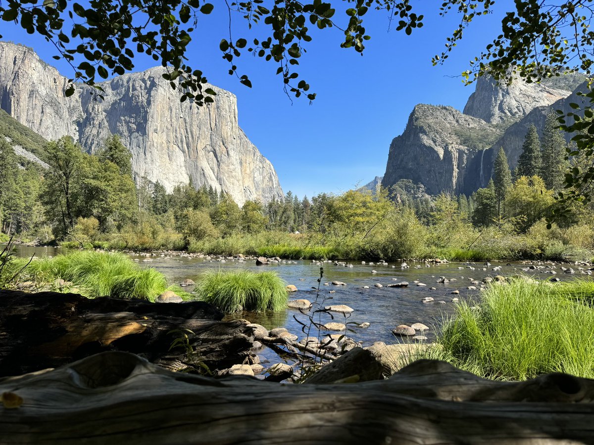 Ray O 'Farrell tweet media