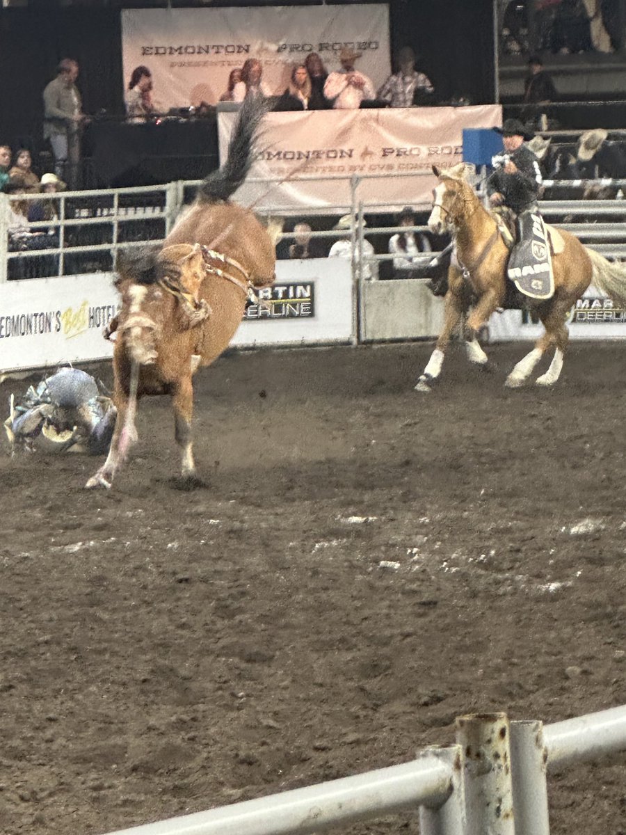 Exciting action at the Edmonton Pro Rodeo #yeg