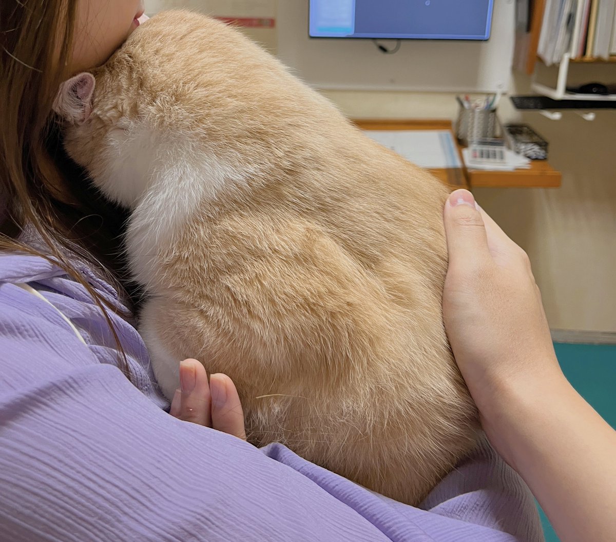 챠비는 무서웠지만 
힘을 내서 병원에 다녀왔어요