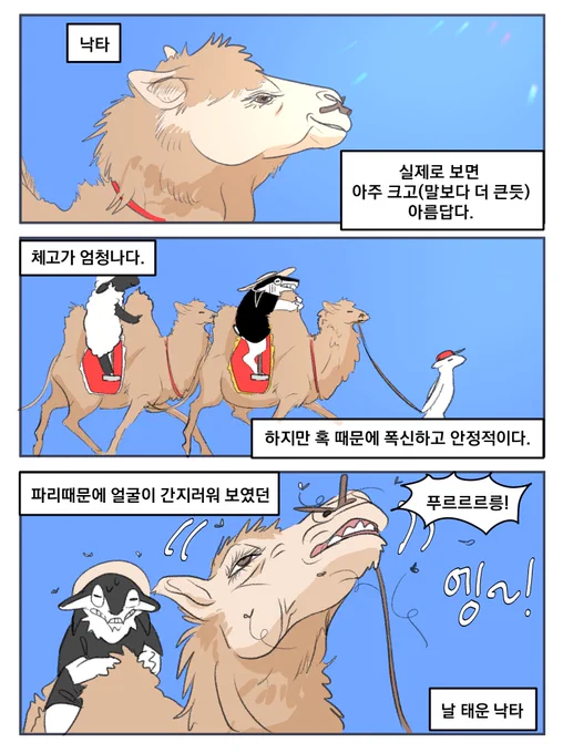 몽골여행 -낙타
와 여권협찬 