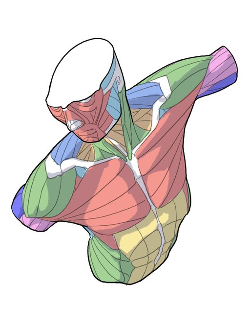 「red bodysuit upper body」 illustration images(Latest)