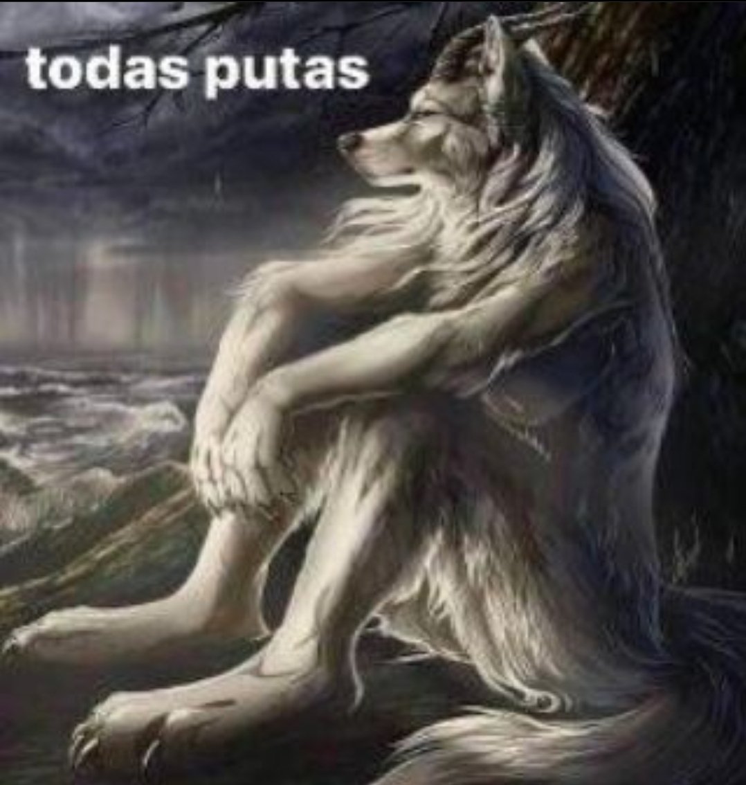 jofrenahuel1's tweet photo. @YazBarolo1 https://t.co/nxQAG1TQGR