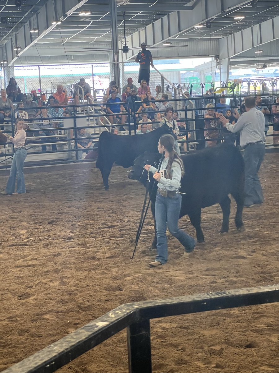 Ridgepoint_FFA's tweet photo. Congratulations to all Ridge Point FFA heifer exhibiters! 
💥Bailey Stockland- 2nd &amp; 3rd in class 
💥Zoey Talbott- 1st, non Brahman division champ, reserve overall replacement heifer, reserve champion showman 
💥Jackson Talbott- 11th 
💥Mikinzie Andrews- 12th
💥Gracie Zand- 13th https://t.co/zBF4NfheoU