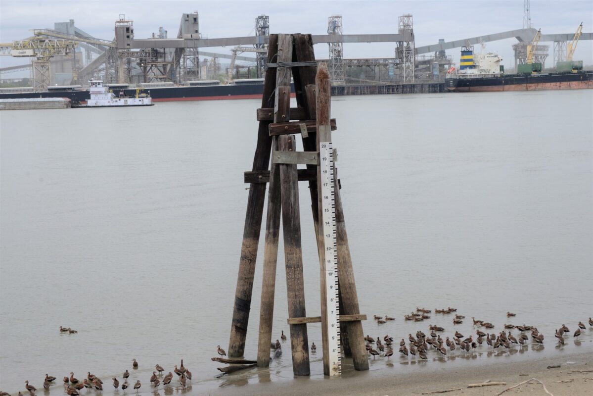 ImpactImmersive's tweet photo. Drought has led to salt water intrusion that threatens New Orleans, but it's a serious climate-driven issue from Morocco to the Mekong Delta.
The post Climate-driven salt water threatens New Orleans and beyond appeared first on Sustainability Times.
 https://t.co/BBsGYaH4F3 # ... https://t.co/wlGf1oX21k