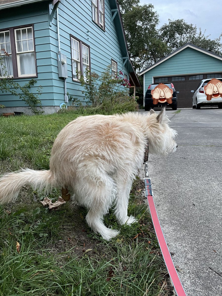 David Stelter tweet media