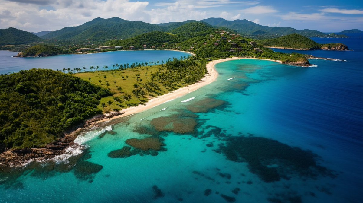 haillisim tweet media