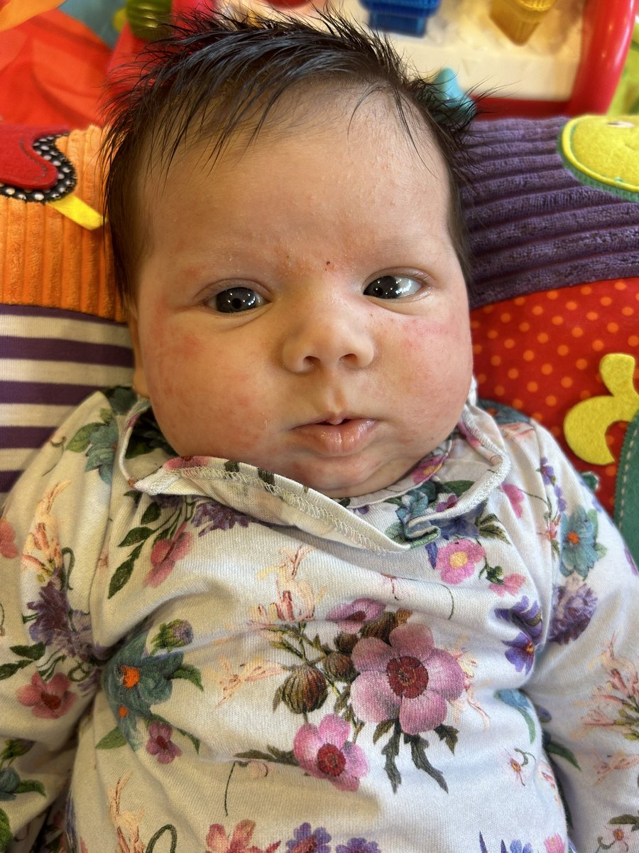 bedhead01's tweet photo. Just over 5 weeks of Betsy! 💕 I love you so much. 😍 https://t.co/7zZ6BBSqfX