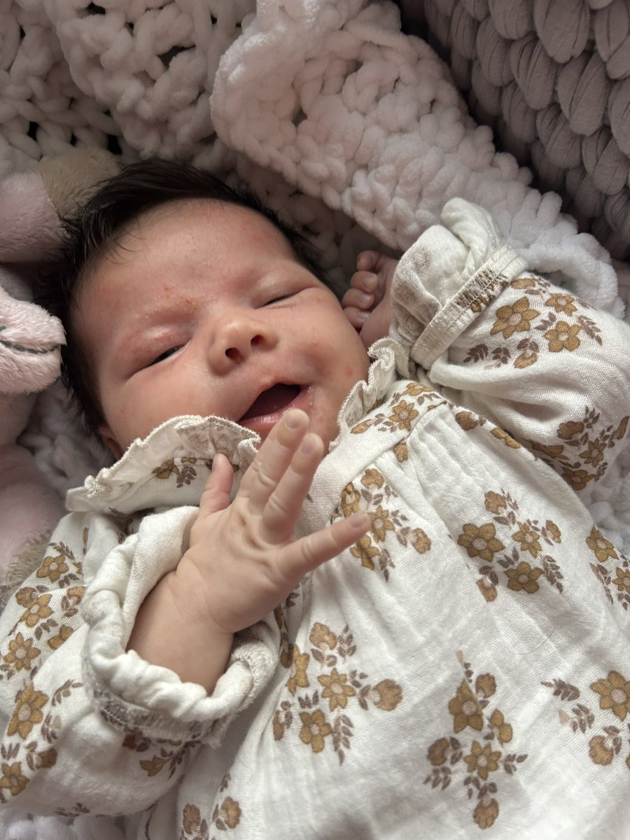 bedhead01's tweet photo. Just over 5 weeks of Betsy! 💕 I love you so much. 😍 https://t.co/7zZ6BBSqfX