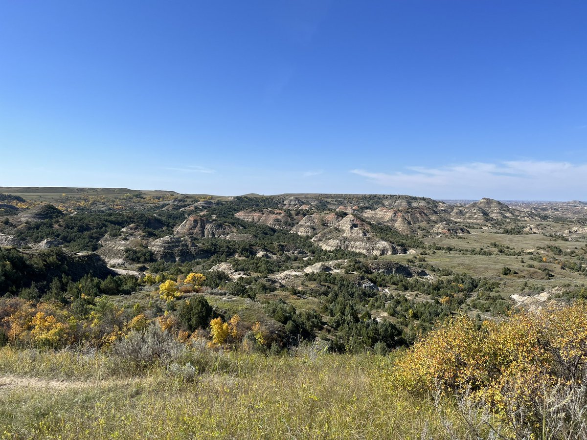 Had a great week in the #NorthDakota badlands visiting @TRooseveltNPS as part of the Midwest Deer and Turkey Study Group. Looking forward to seeing where these conversations lead in the future!