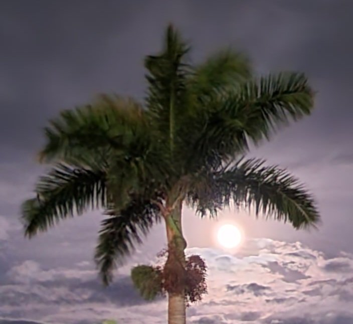 Full moon looks like the sun tonight in southwest Florida.