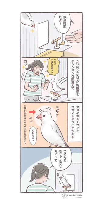 かいぬしが急にテンション高く近寄ると、驚いて文鳥の頭の羽がモサァとなってしまうことがあり申し訳ない #文鳥 #4コマ漫画   *過去作ダウンロードできます!(固定ツイート参照)