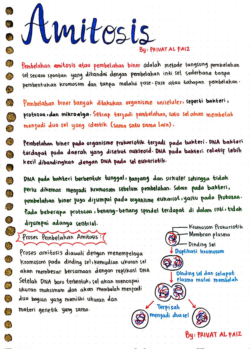 Halo, Guys 👋🏻
Hari ini aku mau share catatan biologi nih tentang Reproduksi Sel "Pembelahan Amitosis" lanjutan dari Pembelahan Mitosis kemarin🤩🦠

Boleh disave ya guys, buat nambah catatan kalian 🤩