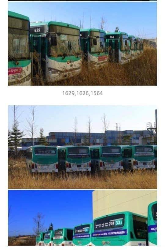 Энэ автууснууд😛 төв талбайд байгаа юм уу!!!