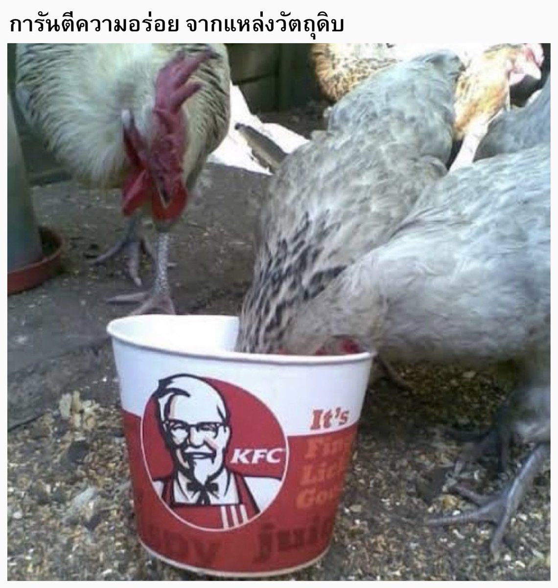 มั่นใจได้ค่ะ