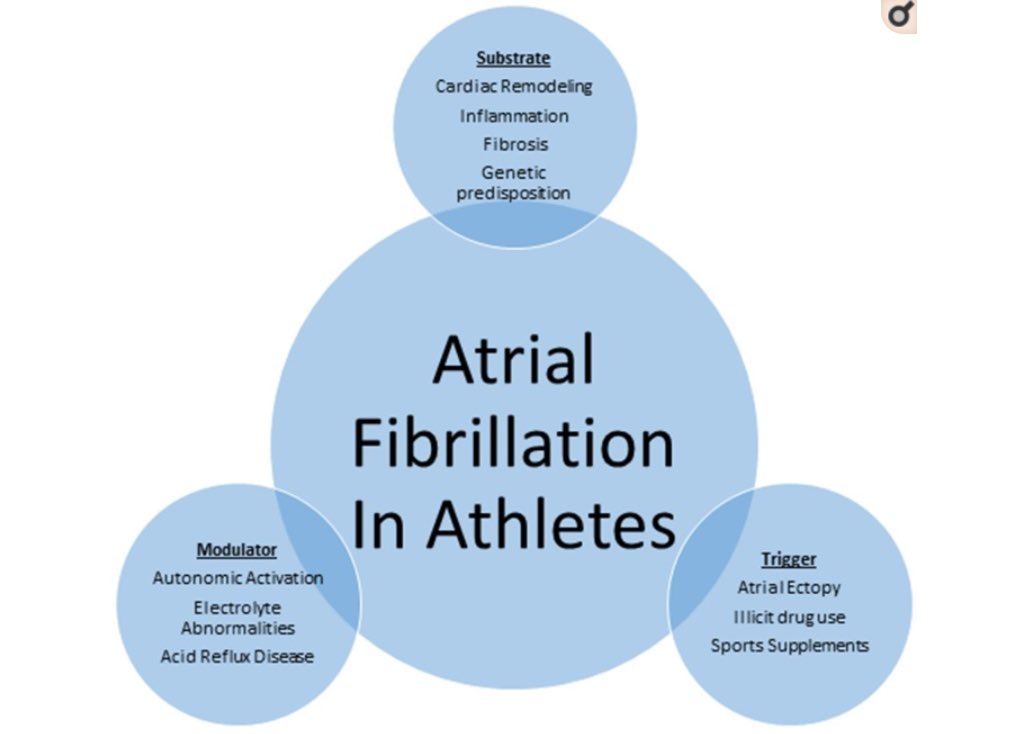 #Afibawareness Athletes & #Afib @ACCinTouch @txchapteracc ⚡️Endurance athletes (runners, cyclists, skiers ⛷️ = Higher AF than other exercises ⚡️Multiple causative factors ⚡️More studies needed ⚡️Consider early Ablation given young age @KeepInRhythm ncbi.nlm.nih.gov/pmc/articles/P…