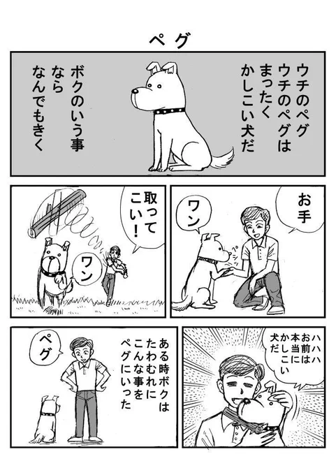 昔描いたギャグネーム 再アップ②  『ペグ』 