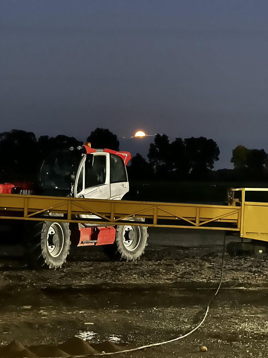 jonlyoder's tweet image. Filling this barn after dark has its perks #storage2023 #harvest23