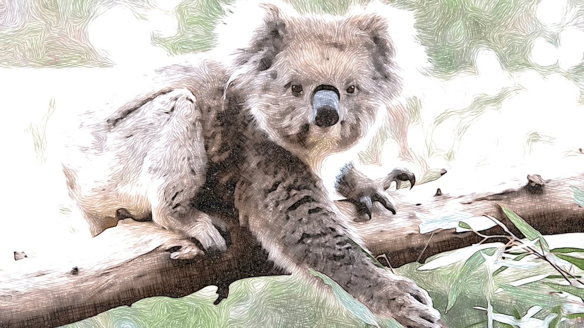 Nick Cater tweet media