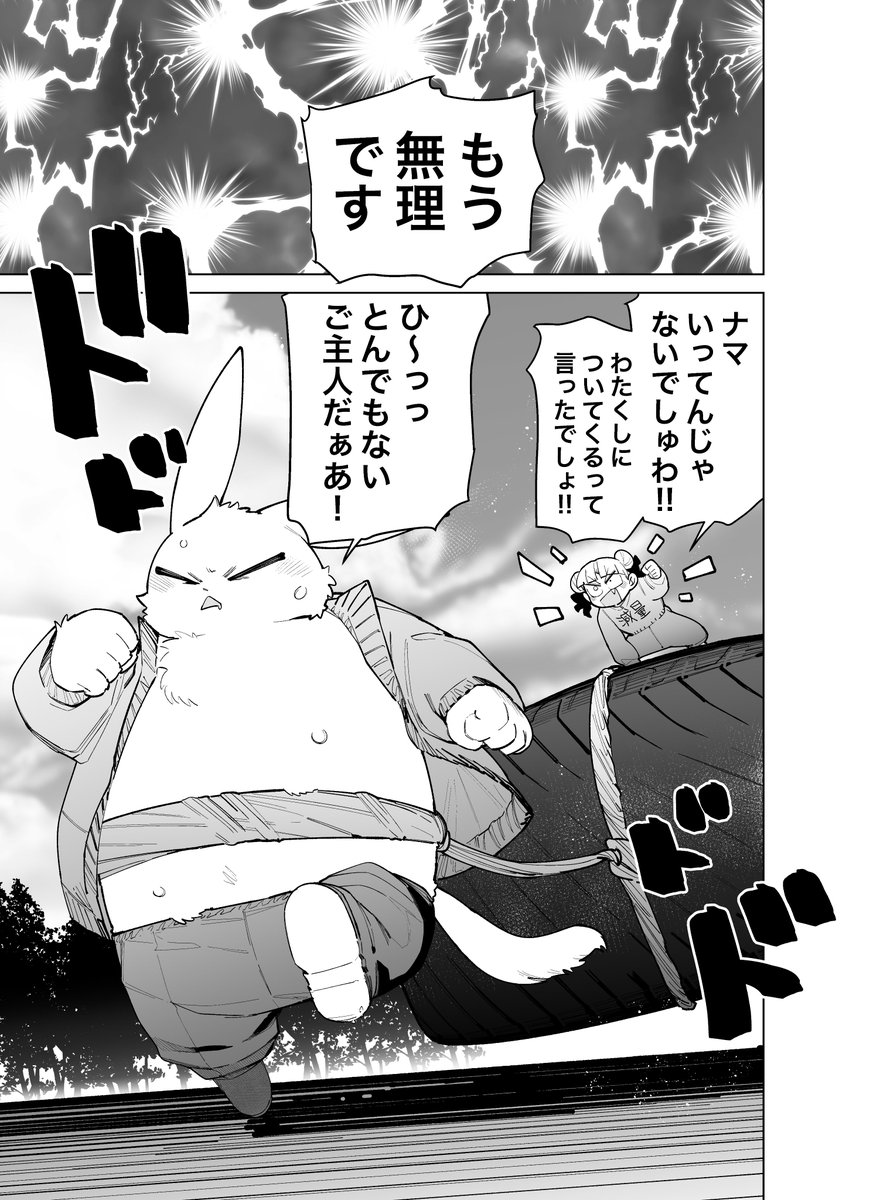 (5/5) 