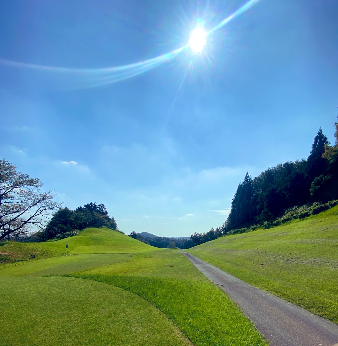SEP91007377's tweet photo. 久々ののゴルフ⛳️
いい天気☀️
前半41
後半飲んでさらに高みを😁

#ゴルフ
#土曜日
#ベストスコアめざせ https://t.co/Zofc102h5g
