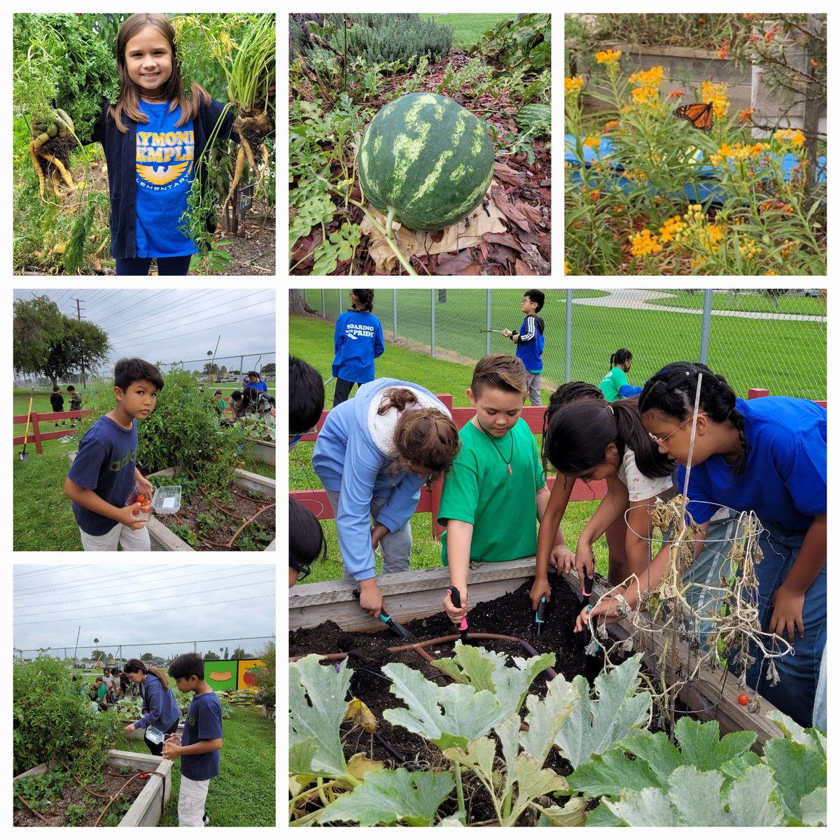 Initiating our newest Green Team members to the joy of gardening😊