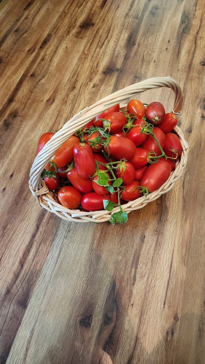 Evan Bare tweet media