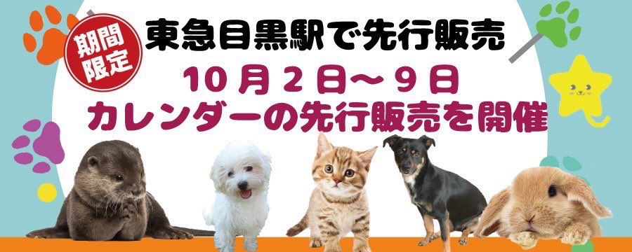 nyaromeeko's tweet photo. カレンダー販売の詳しい内容は画像をチェックしてください✨ https://t.co/aa8pejlhLl