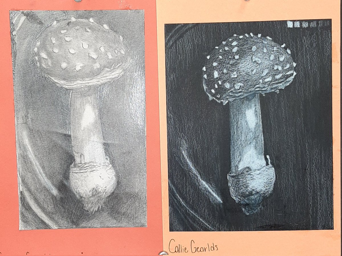 BHSVisualArt's tweet image. Drawing &Painting students learn shading techniques with graphite on paper and white colored pencil on black paper