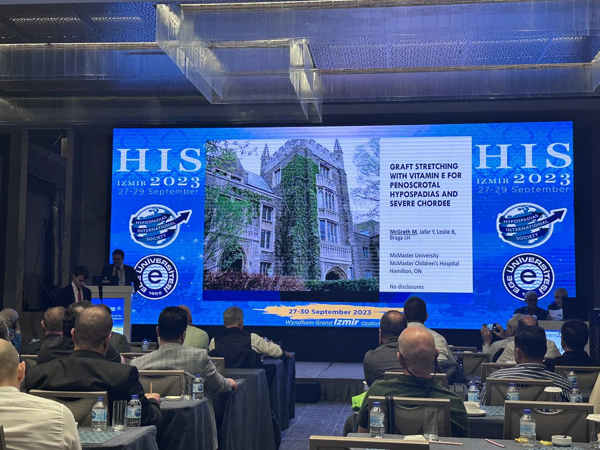 Qizlarning koz ongida erkalanishga munosabati