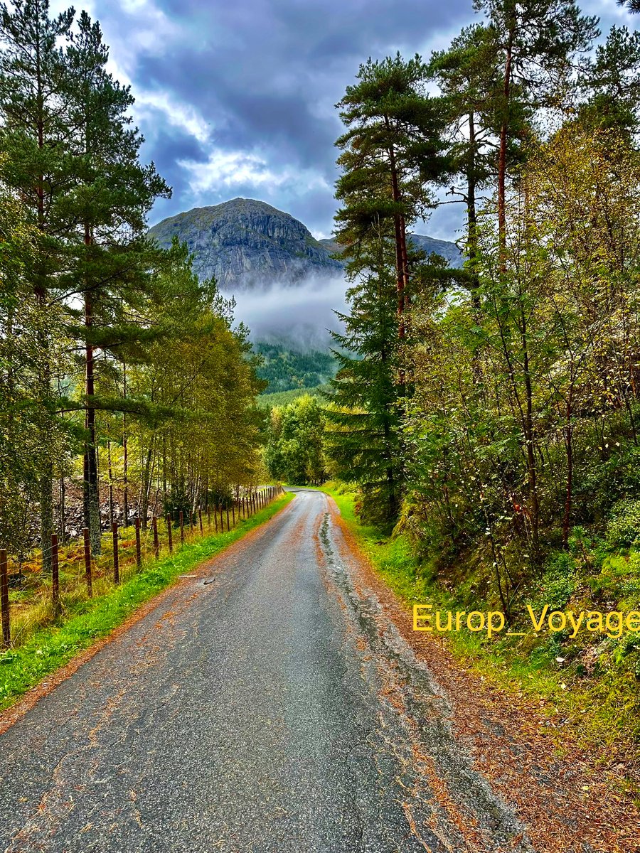 Europ_Voyageur's tweet photo. صباح الخير لكل من يقرأ أتمنى صُدفه جميله لك في هذا الصباح تجعل الحياة تبدو كبستان وردٍ في عيناك
#صباح_الخيرᅠ
#صباح_الورد 🌷.
#Kinsarvik 🇳🇴
#النرويج https://t.co/hhG8RkUBJH