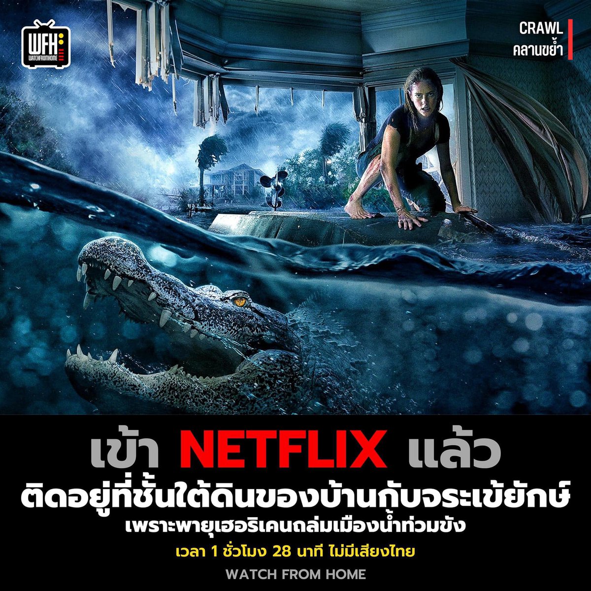 filxlove's tweet photo. Netflix premium 

 ชมบนมือถือ
 7 วัน 40 รีทวิตเหลือ 35
 30 วัน 110 รีทวิตเหลือ 94

ชมบนTV
- 7 วัน 55รีทวิตเหลือ 45
- 30 วัน 175รีทวิตเหลือ 150

🏕️  จอส่วนตัว ⭐️
🏕️  ดูแล รับประกันครบวัน

สั่งซื้อ : https://t.co/7Qn5iaASFJ

#หารnetflix #หารnetflixราคาถูก #netflixร���คาถูก #NetflixTH https://t.co/GV5JSe6AUH