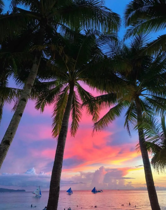 Abigail (@abigail10176613) on Twitter photo 