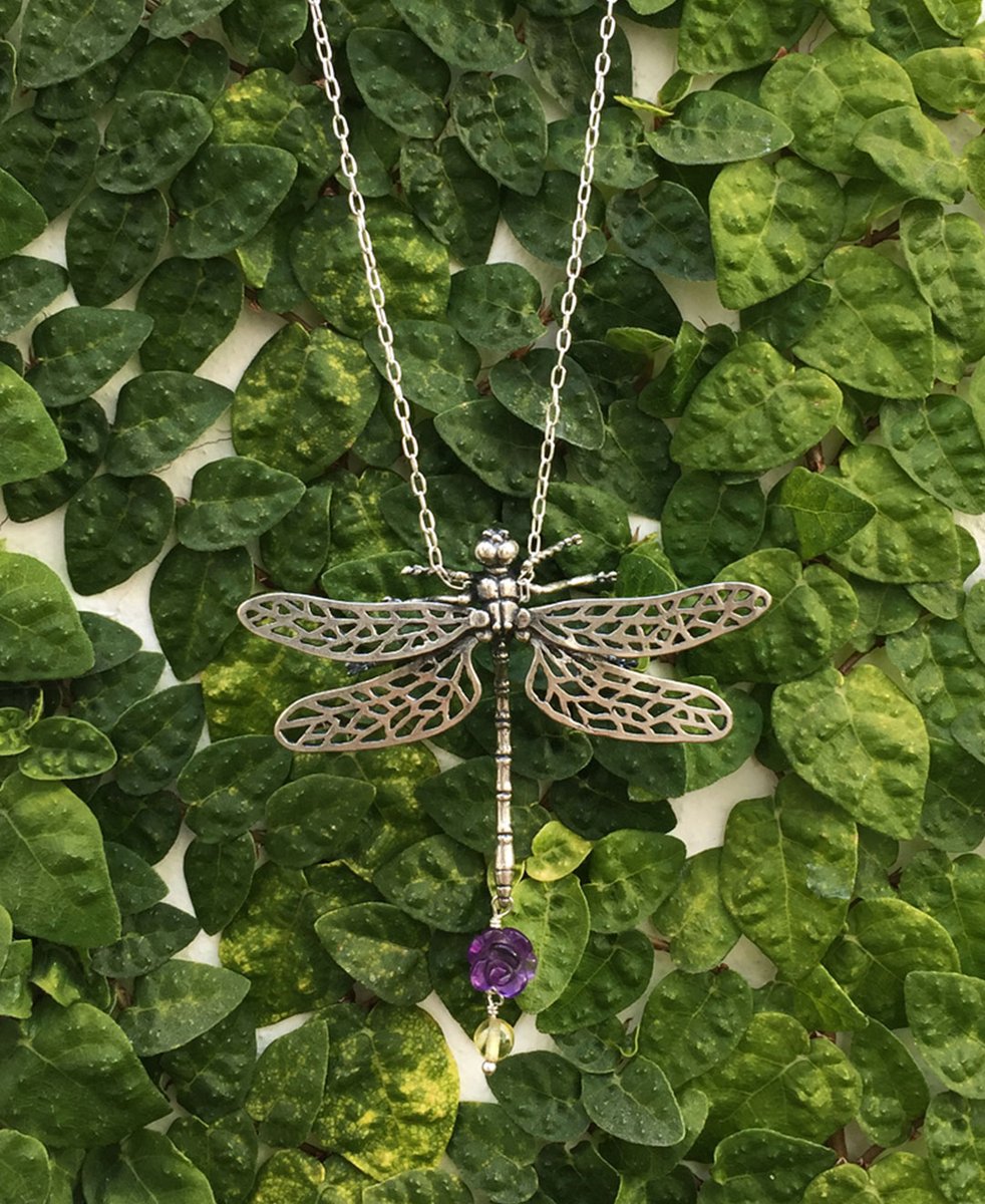 La libélula, un símbolo de transformación y adaptabilidad, cobra vida en nuestro collar. Esta joya representa la libertad de volar y la constante evolución. Llévala como un amuleto de fortaleza y cambio.