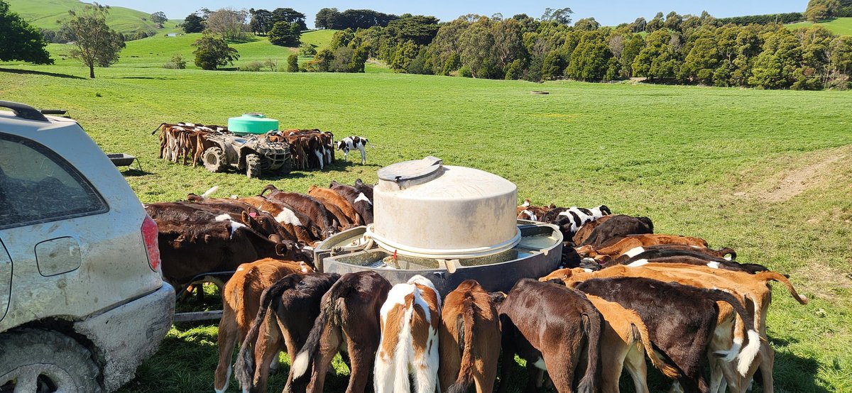 Brian Corr tweet media