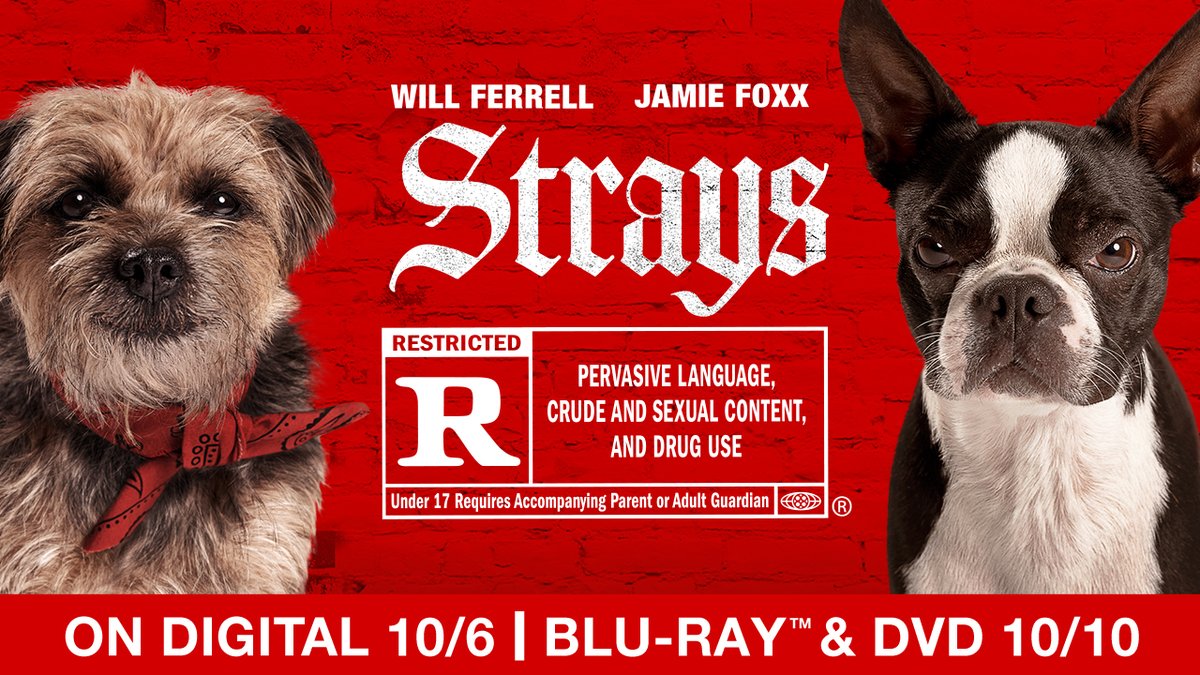 Bring home #StraysMovie with over 30 minutes of never-before-seen bonus content featuring Will Ferrell, Jaime Foxx, and more. Own it on Digital 10/6 and Blu-ray 10/10 uni.pictures/StraysHE