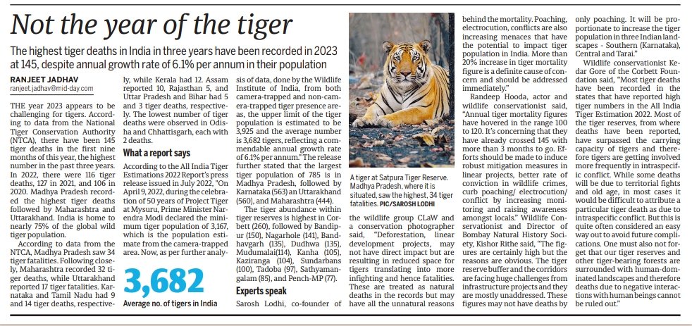 Not the year of the tiger.

mid-day.com/mumbai/mumbai-…

<a href="/mid_day/">Mid Day</a> <a href="/kedargore/">Kedar Gore</a> <a href="/saroshlodhi/">Sarosh</a> <a href="/RandeepHooda/">Randeep Hooda</a> <a href="/ntca_india/">National Tiger Conservation Authority</a> <a href="/MahaForest/">Maha Forest Official</a> <a href="/kishorrithe/">Kishor Rithe</a>
